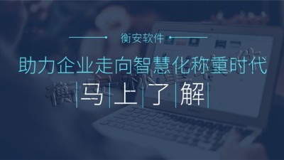 衡安称重软件完全杜绝人为因素造成的漏洞