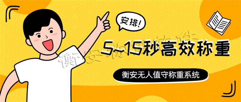 衡安地磅称重软件系统 (11)