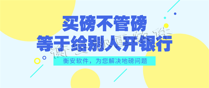 衡安地磅称重软件系统 (6)