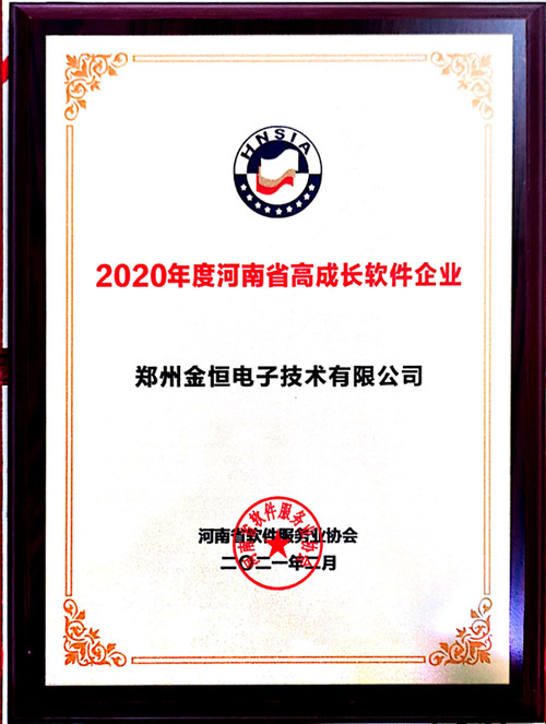 高成长软件企业_副本
