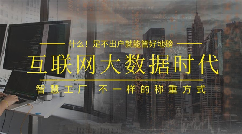 衡安无人值守称重软件快速的提高企业工作效率